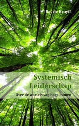 Afbeeldingen van Systemisch Leiderschap