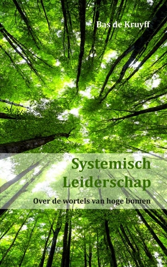 Afbeelding van Systemisch Leiderschap