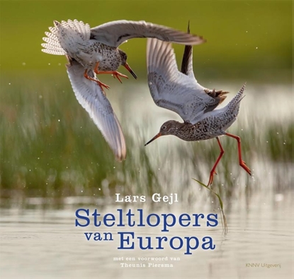 Afbeeldingen van Steltlopers van Europa