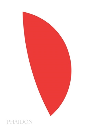 Afbeeldingen van Ellsworth Kelly