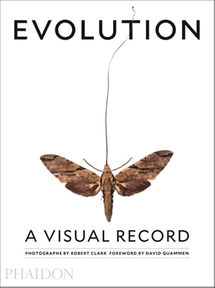 Afbeeldingen van Clark, Robert, Evolution: A Visual Record