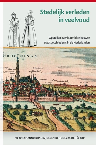 Afbeelding van Middeleeuwse studies en bronnen Stedelijk verleden in veelvoud