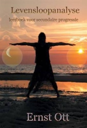 Afbeeldingen van Levensloopanalyse