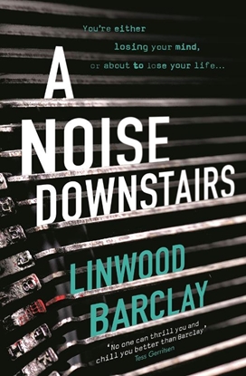 Afbeeldingen van A Noise Downstairs