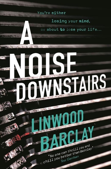 Afbeelding van A Noise Downstairs