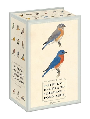 Afbeeldingen van Sibley Birds Sibley Backyard Birding Postcards