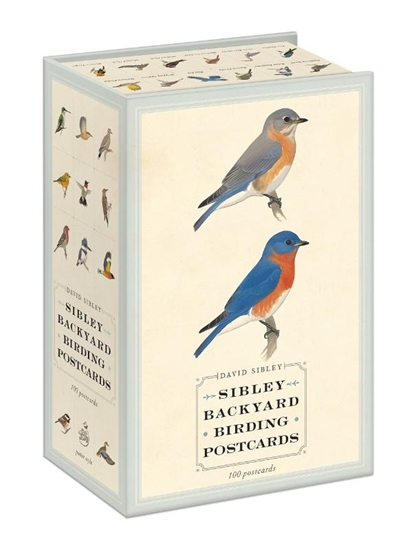 Afbeelding van Sibley Birds Sibley Backyard Birding Postcards