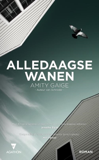 Afbeelding van Alledaagse wanen