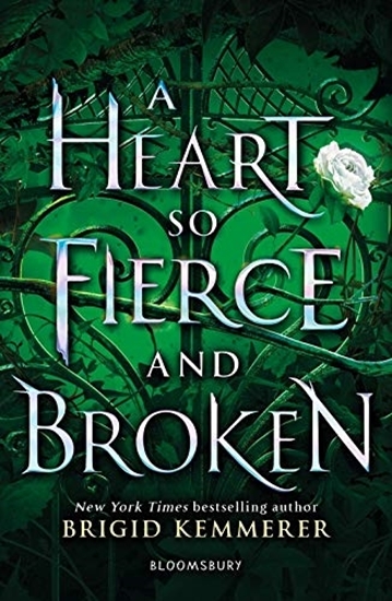 Afbeelding van The Cursebreaker Series A Heart So Fierce and Broken