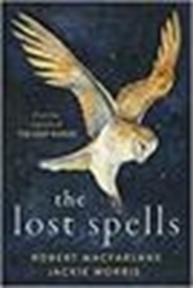 Afbeeldingen van The Lost Spells