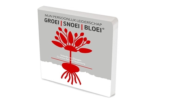 Afbeelding van Mijn persoonlijk leiderschap
