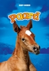 Afbeelding van Baby-dieren Paard