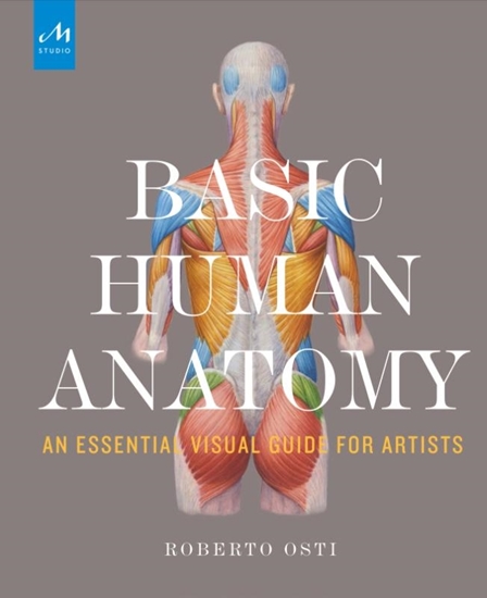 Afbeelding van Basic Human Anatomy