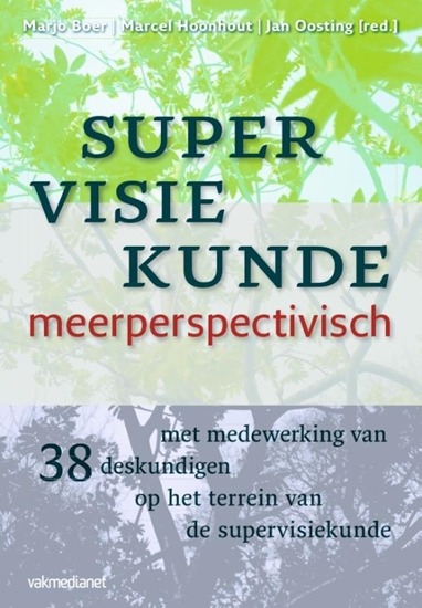 Afbeelding van Supervisiekunde