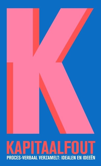 Afbeelding van Proces-Verbaal verzamelt Kapitaalfout