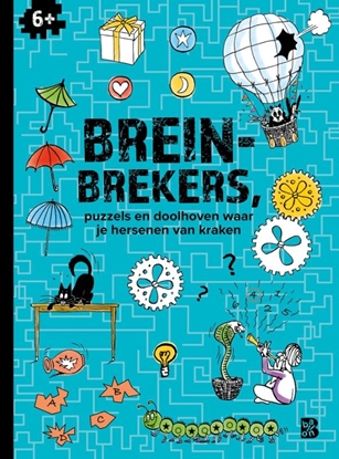 Afbeeldingen van Logisch denken Breinbrekers 6+