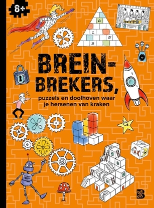 Afbeeldingen van Logisch denken Breinbrekers 8+