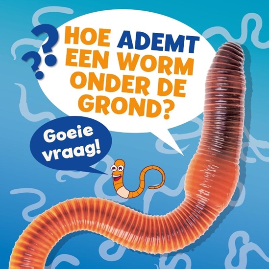 Afbeelding van Goeie vraag! Hoe ademt een worm onder de grond?