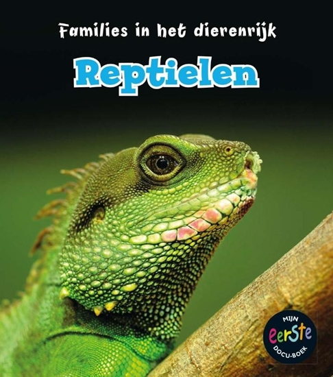 Afbeelding van Families in het dierenrijk Reptielen