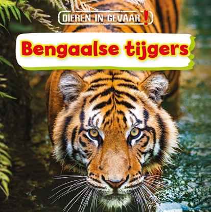 Afbeeldingen van Dieren in gevaar! Bengaalse tijgers