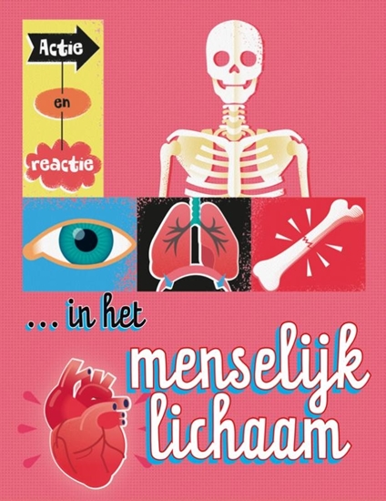 Afbeelding van Actie en reactie Actie en reactie in het menselijk lichaam