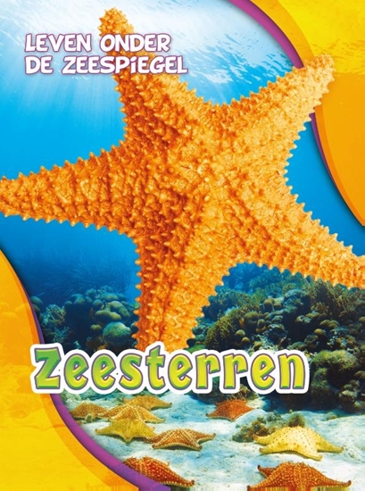 Afbeelding van Leven onder de zeespiegel Zeesterren