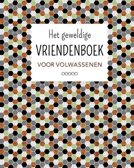 Afbeelding van Het geweldige vriendenboek voor volwassenen