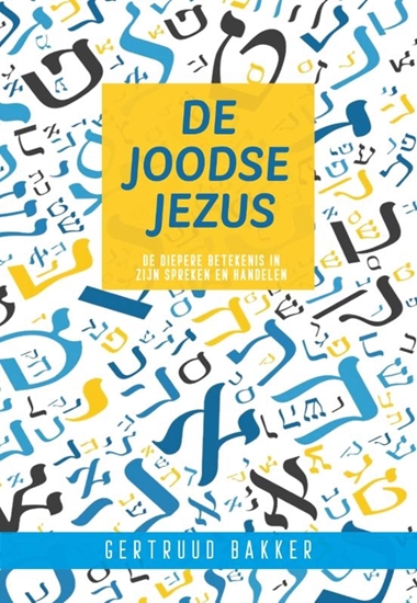 Afbeelding van De Joodse jezus