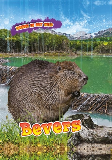 Afbeelding van Dieren in het wild Bevers