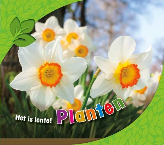 Afbeelding van Het is lente! Planten