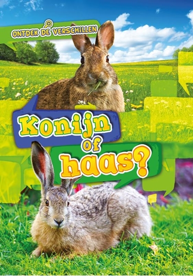 Afbeelding van Ontdek de verschillen Konijn of haas?
