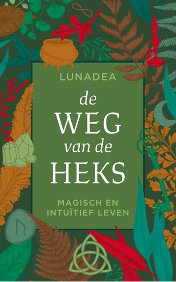 Afbeelding van De weg van de heks