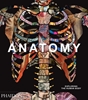 Afbeelding van Anatomy