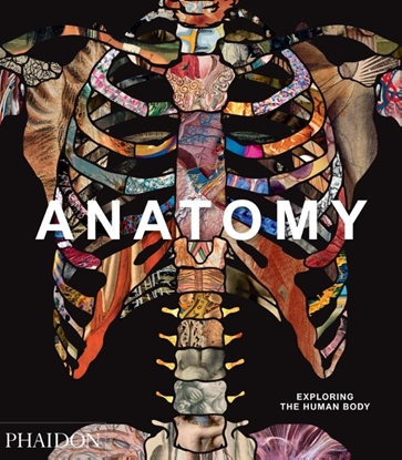 Afbeeldingen van Anatomy