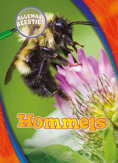 Afbeelding van Allemaal beestjes Hommels