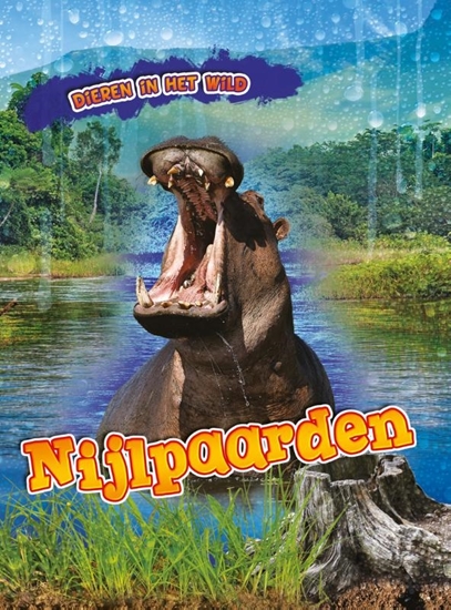Afbeelding van Dieren in het wild Nijlpaarden