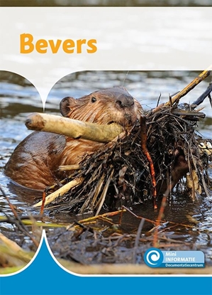 Afbeeldingen van Mini Informatie Bevers