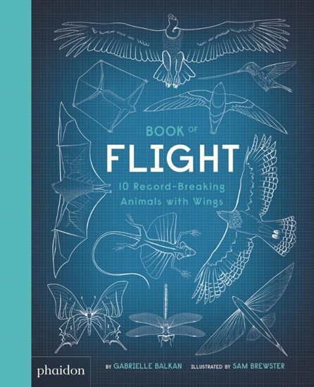 Afbeelding van Book of Flight