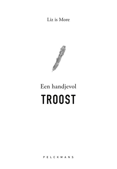 Afbeelding van Een handjevol troost
