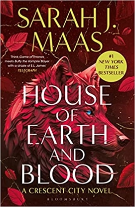 Afbeeldingen van Crescent City House of Earth and Blood