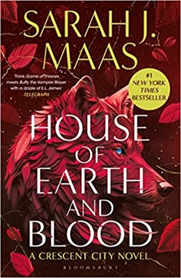Afbeelding van Crescent City House of Earth and Blood