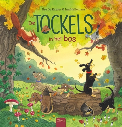 Afbeeldingen van De Tockels De Tockels in het bos