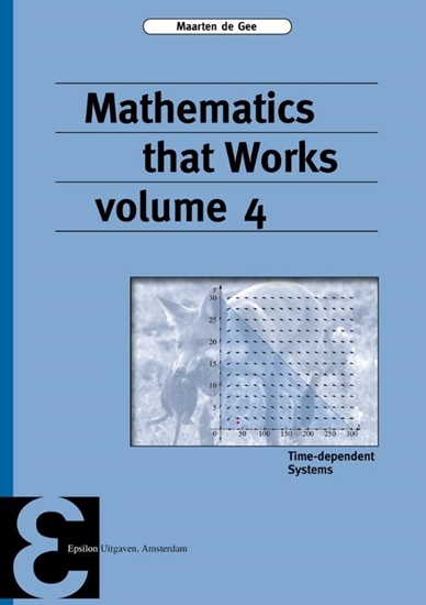 Afbeelding van Epsilon uitgaven Mathematics that Works 4