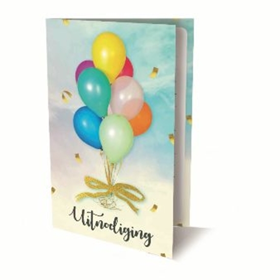 Afbeelding van BALLONNEN UITNODIGINGEN PK 875 / 6X3,95 - FSC MIX CREDIT