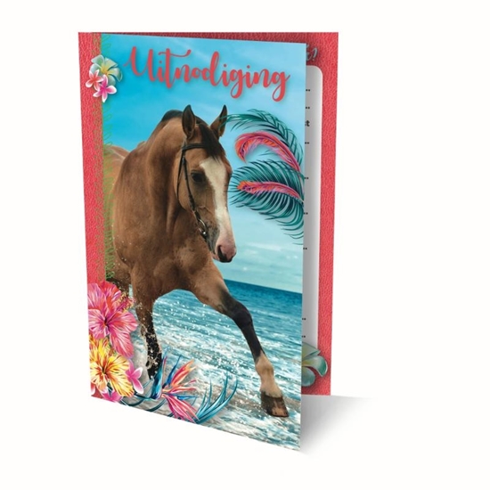 Afbeelding van UITNODIGINGEN RACHAEL HALE PK 908 PAARDEN / 6X3,95 - FSC MIX CREDIT