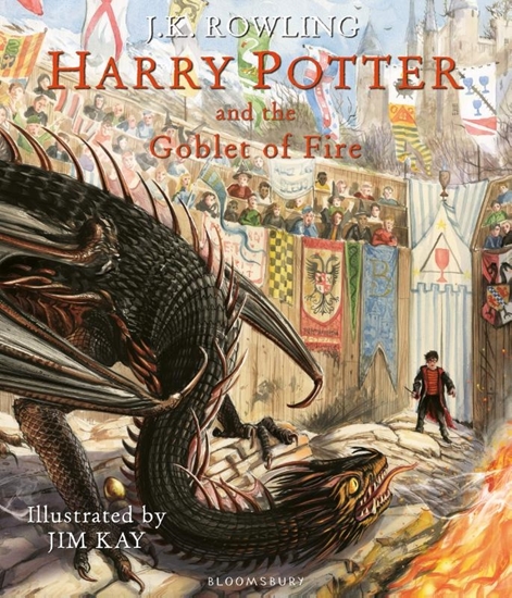 Afbeelding van Harry Potter and the Goblet of Fire