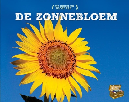 Afbeeldingen van Vertel Maar De zonnebloem