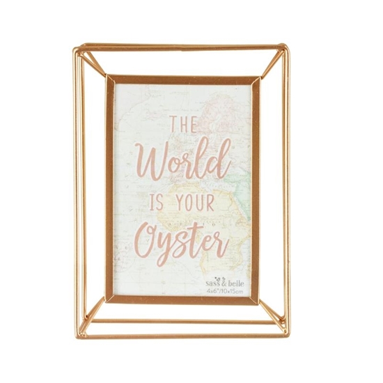 Afbeelding van Fotolijstje in roze en goud World explorer