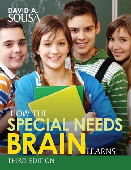 Afbeelding van How the Special Needs Brain Learns