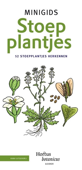 Afbeelding van Minigids Set Minigids Stoepplantjes